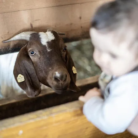 Loeckerwirt ホテル