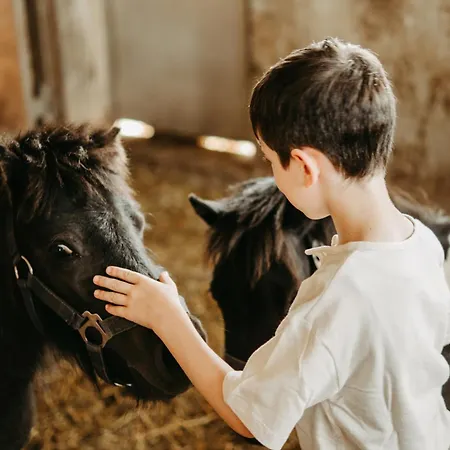 Loeckerwirt Hotell Sankt Margarethen im Lungau