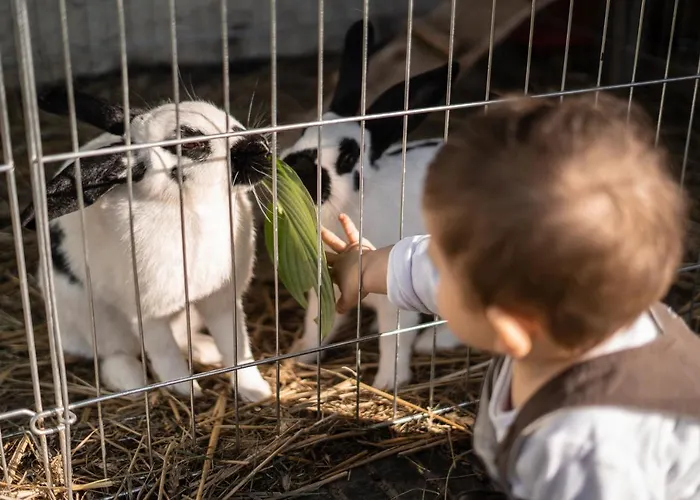 Loeckerwirt Hotell 3*